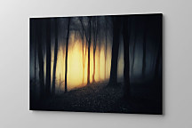 Obraz Svitanie zs1064